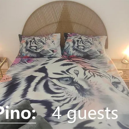 Pino Baroque Near & Etna By Wonderful Italy アパート カターニア